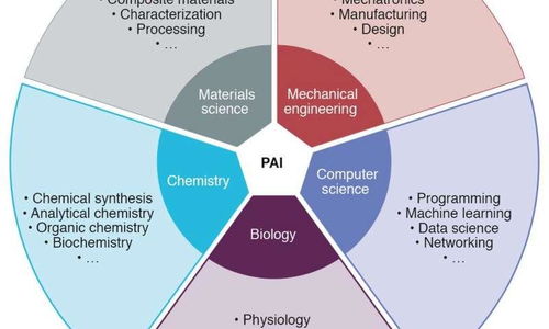 物理人工智能 基礎軟件開發(fā)與自主智能機器人的未來愿景